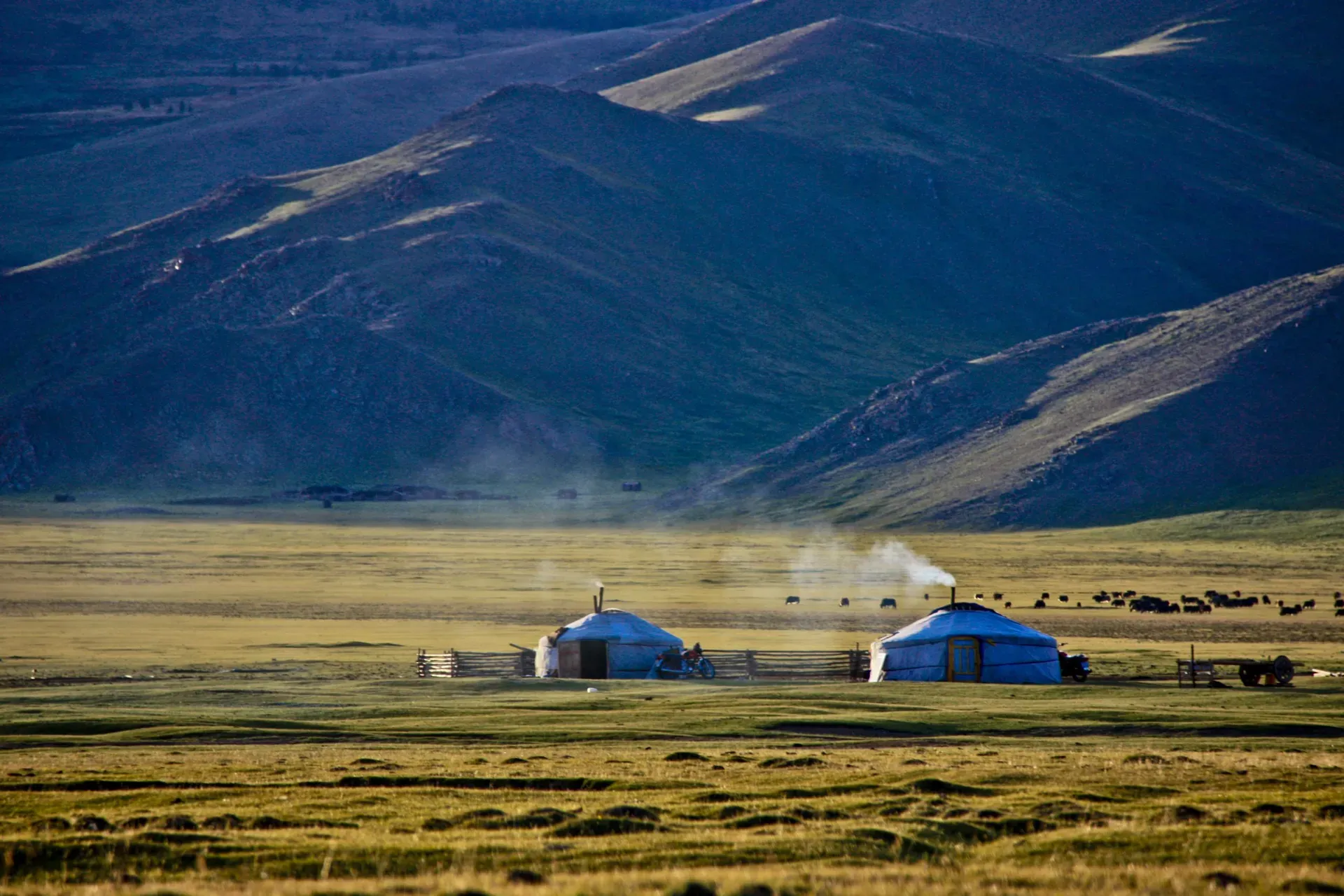 White Mongolian yurts and grazing animals spread across a grassy plain beside White Lake with the Khangai mountains visible in the distance