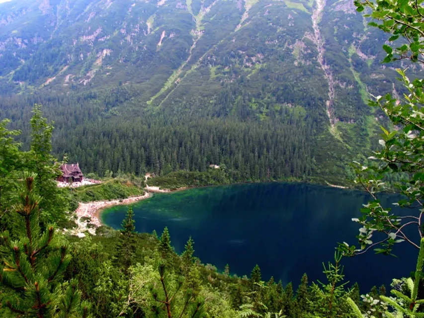 Wide-angle view of Morskie Oko lake surrounded by dense green forest and rugged Tatra mountain peaks