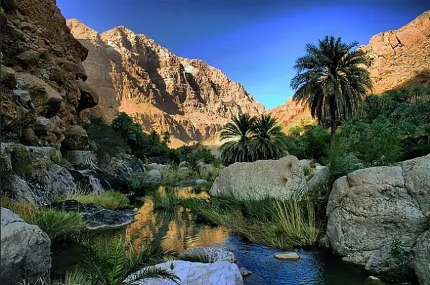 Aerial-like view of a lush green oasis with date palm groves and a flowing stream nestled between rugged mountains in Wadi Tiwi