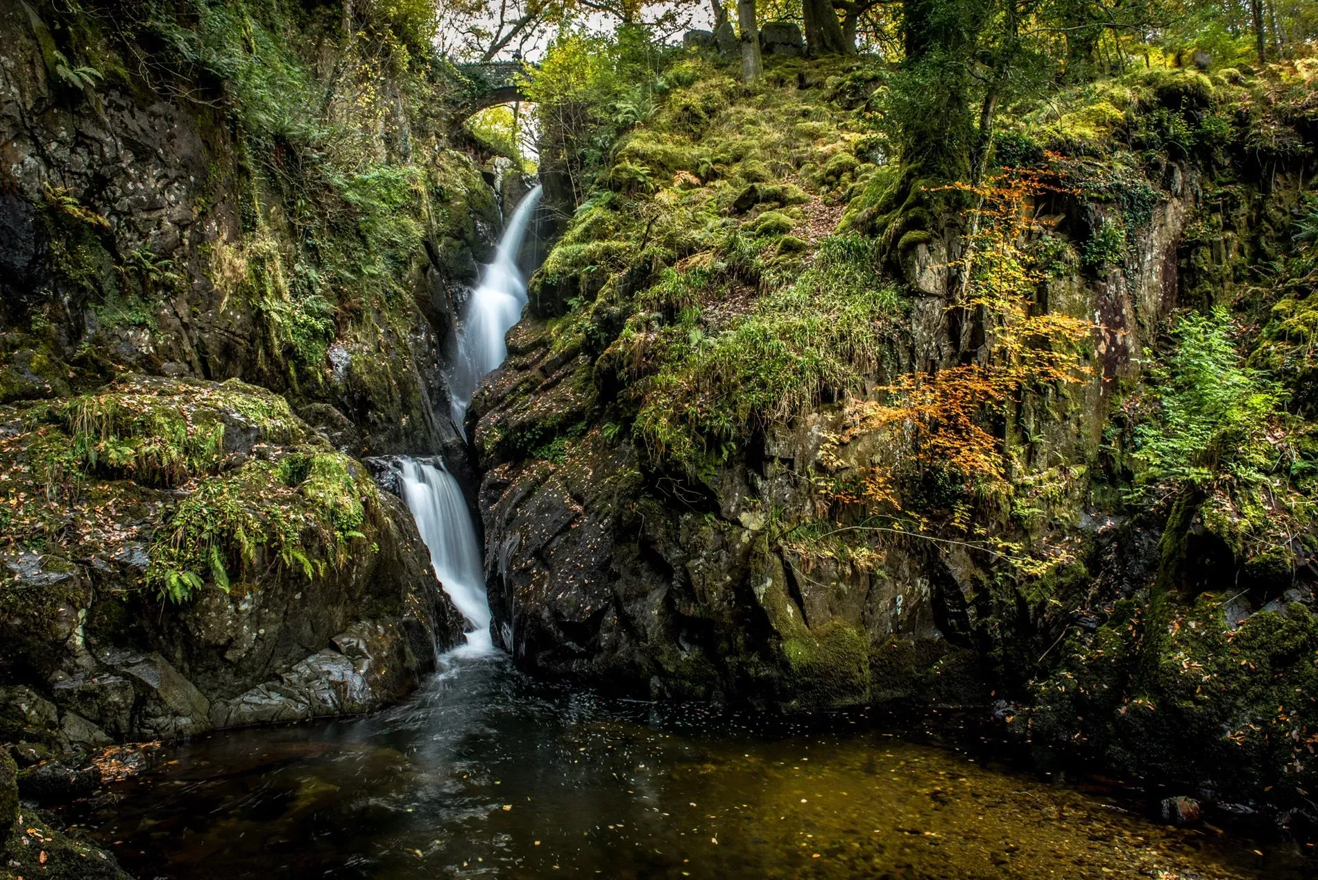 Aira Force waterfall cascading through moss-covered rocks with orange and gold autumn foliage