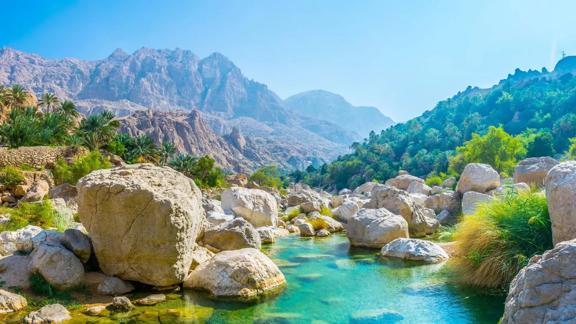Lush green Wadi Tiwi valley with a clear turquoise stream flowing between white rocks surrounded by palm trees