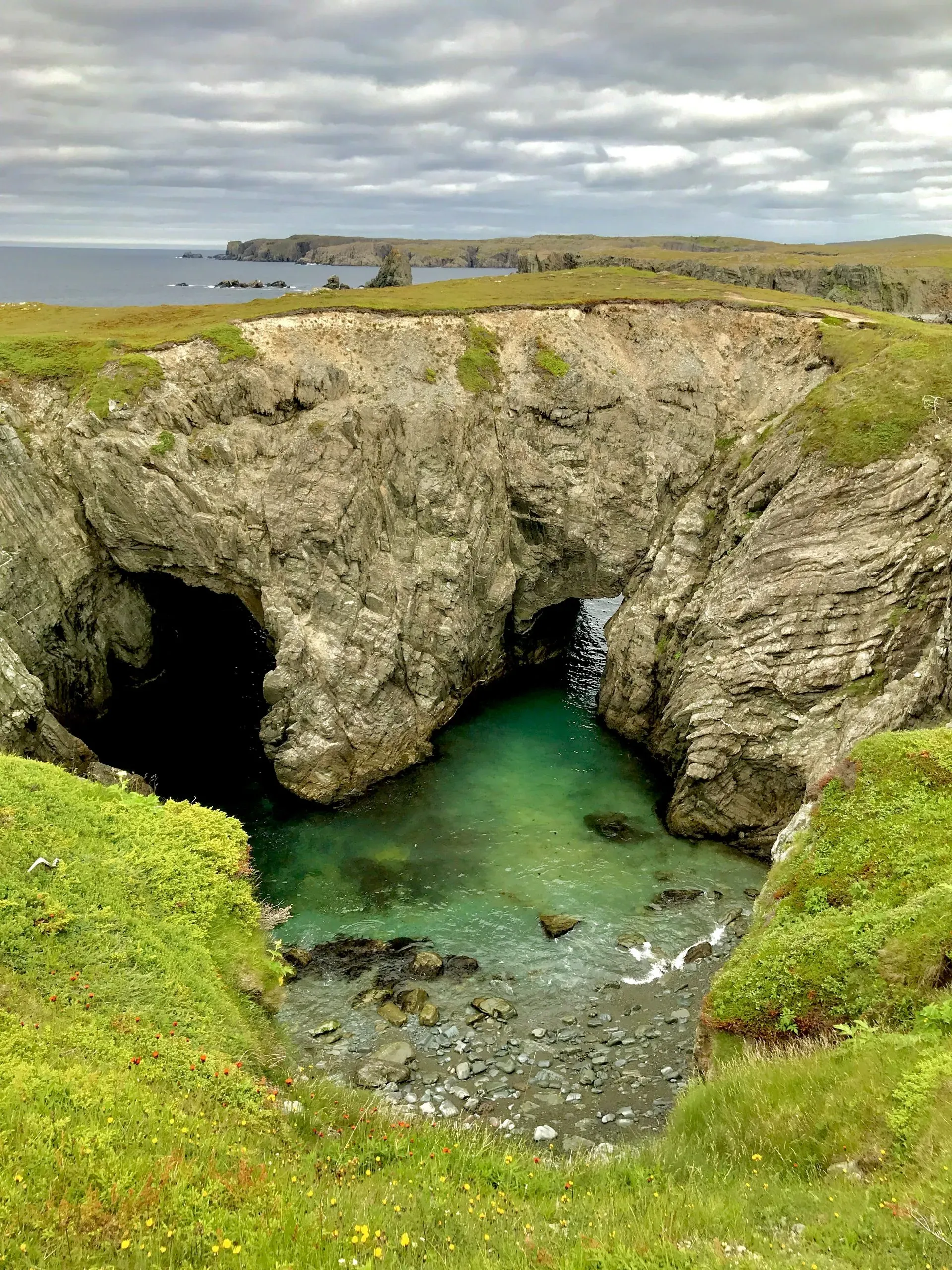 The Dungeon Bonavista Newfoundland sea cave opening surrounded by green meadow and wildflowers