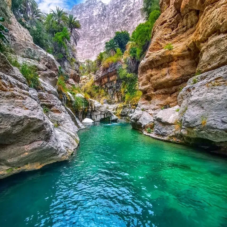 Steep canyon walls framing a narrow turquoise waterway lined with palm trees in Wadi Tiwi