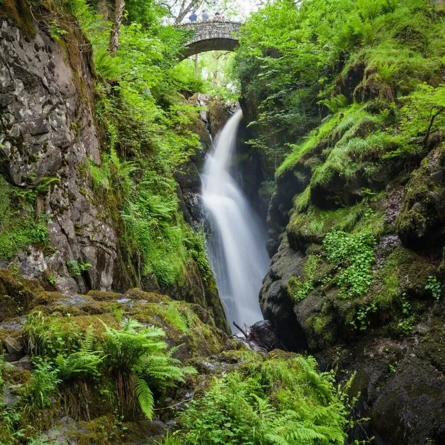 Stone footbridge arching over the top of Aira Force waterfall gorge in green woodland