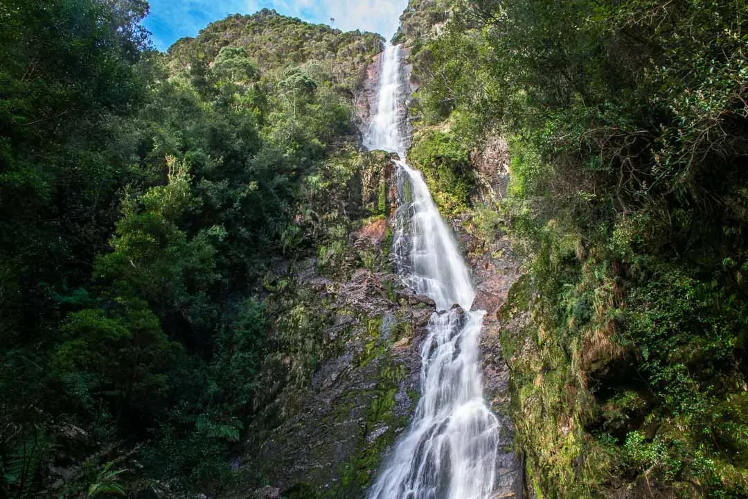 Montezuma Falls Tasmania drops 104 metres down a vertical rock face covered in moss and ferns