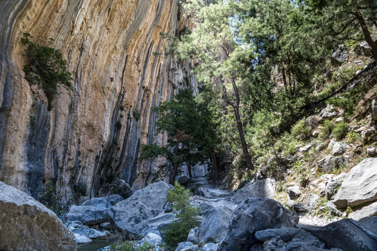 Samaria Gorge canyon walls rising above hiking trail in Crete Greece