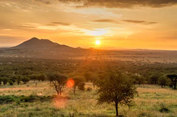 Sunrise over Serengeti Tanzania plains with golden light on grasslands