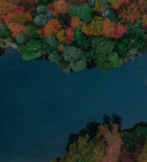 Aerial view of Huilo Huilo Biological Reserve Chile temperate rainforest in Los Ríos Region