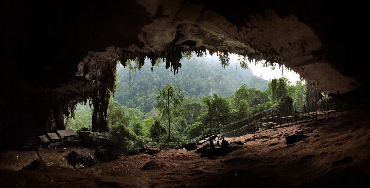 Golden sunset light streaming into the main entrance of Niah Caves Malaysia with stalactites and lush rainforest