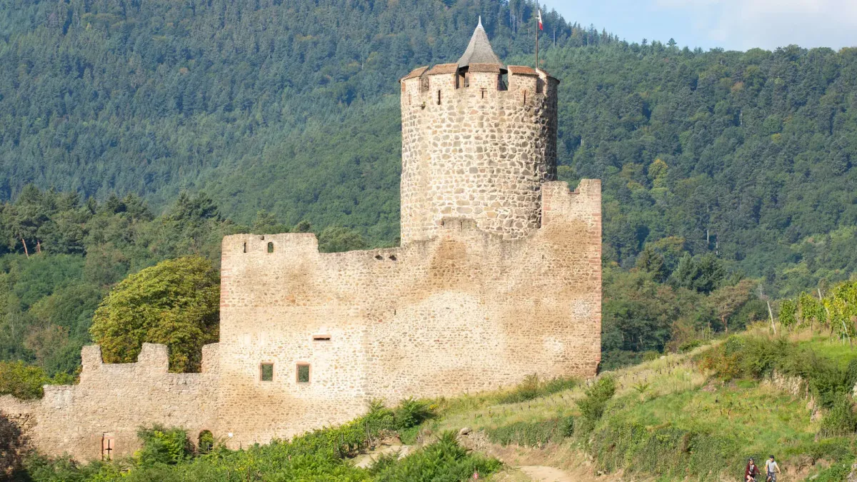 Kaysersberg Castle in France, a medieval ruin perched on a rocky hilltop overlooking the Alsatian village of Kaysersberg below