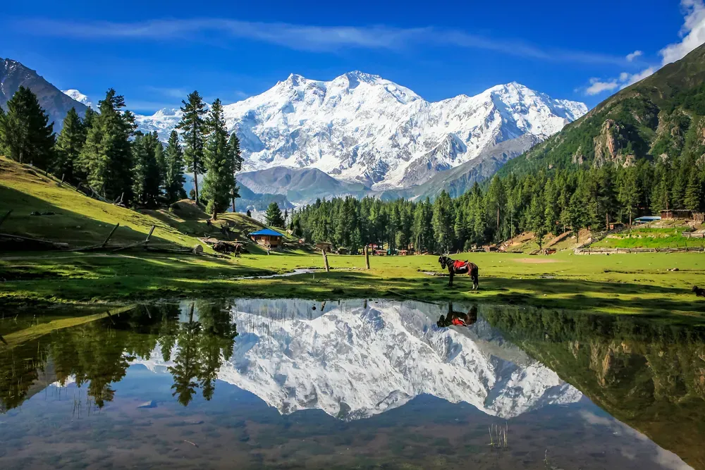 Fairy Meadows Pakistan with horse grazing by lake reflecting snow-capped Nanga Parbat