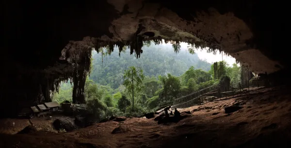 Golden sunset light streaming into the main entrance of Niah Caves Malaysia with stalactites and lush rainforest