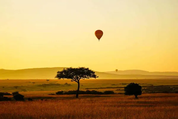 Hot air balloons floating over Maasai Mara National Reserve Kenya at sunrise with acacia trees silhouetted against golden light