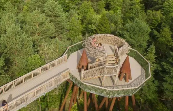 Treetop walkway with giant wooden bird's nest lookout at The Wild Center's Wild Walk in Tupper Lake, New York