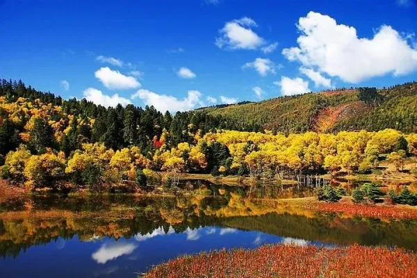 Colorful autumn foliage reflected in a calm lake at Pudacuo National Park, Shangri-La, Yunnan, China
