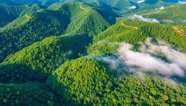 Aerial view of dense rainforest canopy at Ranomafana National Park Madagascar with rolling green mountains and morning mist