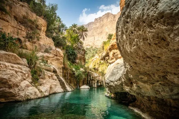 Turquoise river winding through a narrow rocky canyon with lush date palm trees in Wadi Tiwi Oman